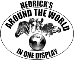 Hedrick's Around The World In One Display